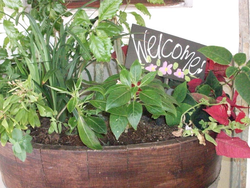 Bread And Barrel Guesthouse Bellville Cape Town Exterior photo